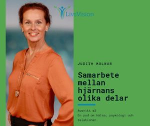 Samarbete mellan hjarnans olika delar